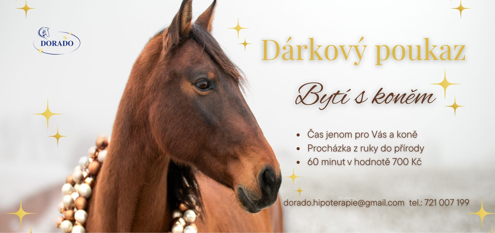 Dárkový poukaz – Bytí s koněm